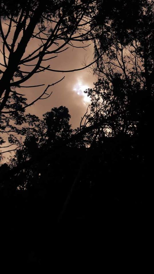 13900087_1678490162472789_748041394274163583_n