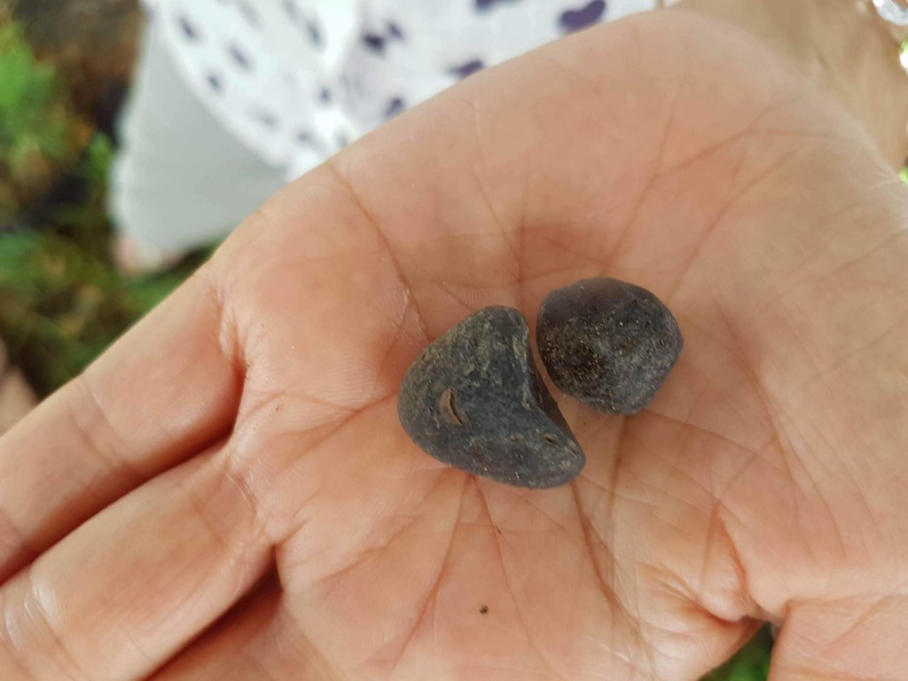 神奇發光的兩顆寶珠