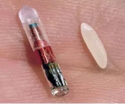 %e7%b4%8d%e7%b2%b9%e6%99%b6%e7%89%872