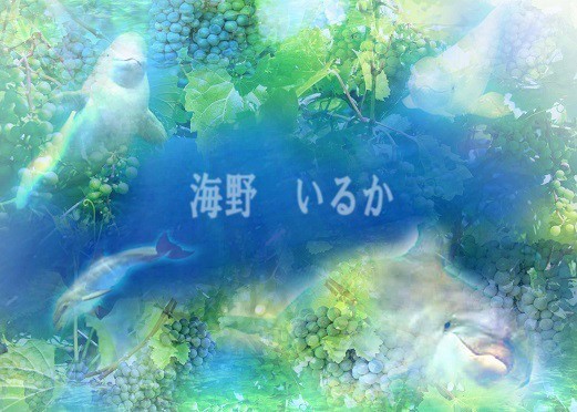 【地球盟友】【柯博拉Cobra】2016年11月28日-日本團隊主持的Cobra訪談節目