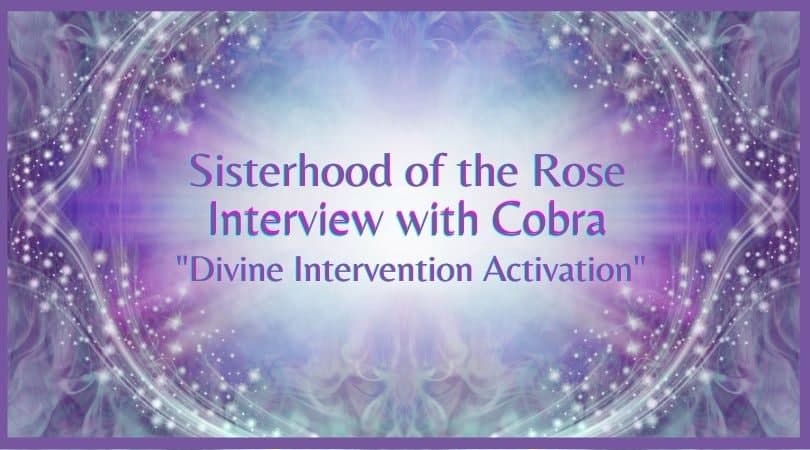 【地球盟友】【柯博拉Cobra】2021年12月美國玫瑰姊妹會主持的柯博拉訪談節目