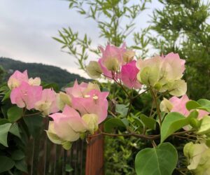 2022/08/20 台北實體聚會心得分享