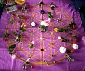 2022/12/10 北區南港公園實體聚會分享