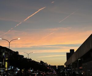 2023／2／18 台北區南港公園實體聚會參加心得分享