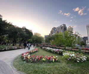 2023／3／4台北區大安森林公園實體聚會參加心得分享