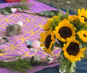 2023 / 5 / 6 南港公園聚會心得