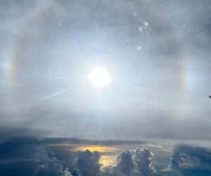 【地球盟友】【柯博拉Cobra】2023年11月27日訊息【畢宿五星人】