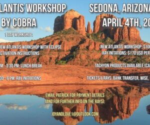 【地球盟友】【柯博拉Cobra】2024年3月3日訊息【簡短近況更新】