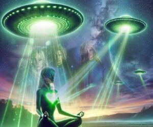 【地球盟友】【柯博拉Cobra】2024年6月17日訊息【近況更新】