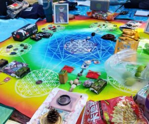 2025/3/10 中區實體聚會分享-科博館植物園