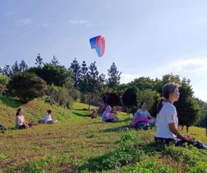 ✨🌈🌹2025/11/22（六）埔里鯉魚潭&虎頭山實體聚會心得分享🌹🌈✨