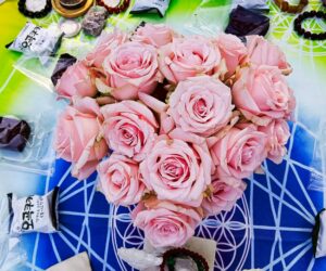 2025/12/7(日)🌈🌟中區實體聚會🌟🌈台中植物園